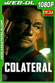 Colateral (2024) 1080p WEB-DL Latino