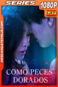 Como peces dorados (2022) Temporada 1 1080p WEB-DL Latino
