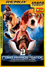 Como perros y gatos 2 La Venganza de Kitty Galore (2010) 1080p BDRemux Latino – Ingles