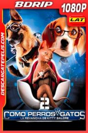 Como perros y gatos 2 La Venganza de Kitty Galore (2010) 1080p BDRip Latino – Ingles