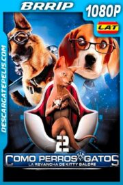 Como perros y gatos 2 La Venganza de Kitty Galore (2010) 1080p BRRip Latino – Ingles