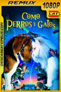 Como perros y gatos (2001) 1080p BDRemux Latino – Ingles