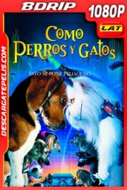 Como perros y gatos (2001) 1080p BDRip Latino – Ingles
