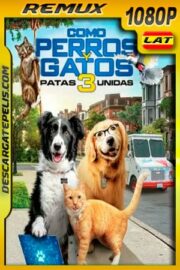 Como perros y gatos 3 Patas Unidas (2020) 1080p BDRemux Latino