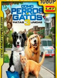 Como perros y gatos 3 Patas Unidas (2020) 1080p BDRemux Latino