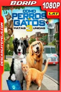 Como perros y gatos 3 Patas Unidas (2020) 1080p BDRip Latino