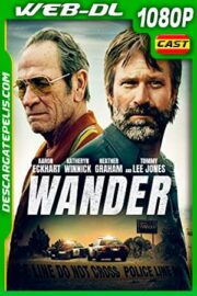 Conspiración Wander (2020) 1080p WEB-DL AMZN