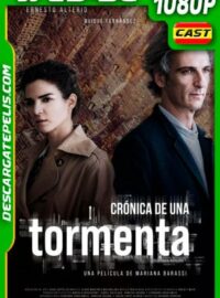 Crónica de una tormenta (2020) 1080p WEB-DL Castellano