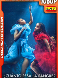 ¿Cuánto pesa la sangre? Temporada 3 (2022) 1080p WEB-DL Latino