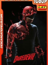 Daredevil  Temporada 3 (2018) 1080p WEB-DL Latino