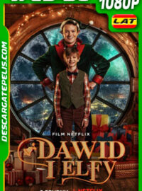 David y los Elfos (2021) 1080p WEB-DL Latino