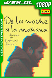 De la noche a la mañana (2019) 1080p WEB-DL Latino