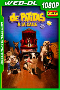 De patitas a la calle (2020) 1080p WEB-DL AMZN Latino
