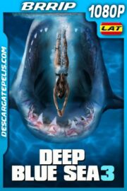 Deep Blue Sea 3 (2020) 1080P BRRIP Latino – Ingles