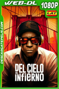 Del cielo al infierno (2025) 1080p WEB-DL Latino