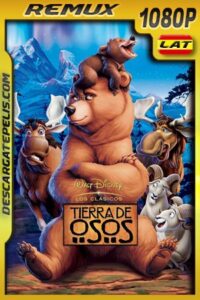 El tiempo contigo (2019) 1080p BDRemux Japones