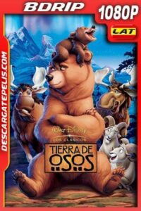 Plan de vuelo (2005) 1080p BDrip Latino – Ingles