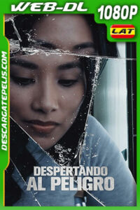 Despertando al peligro (2021) 1080p WEB-DL Latino