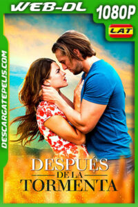Después de la Tormenta (2019) 1080p WEB-DL Latino