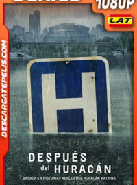 Después del huracán Katrina Temporada 1 (2022) 1080p WEB-DL Latino
