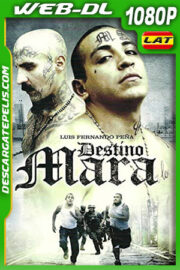 Destino Mara (2010) 1080p WEB-DL Latino