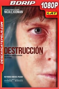 Destrucción (2018) 1080p BDrip Latino