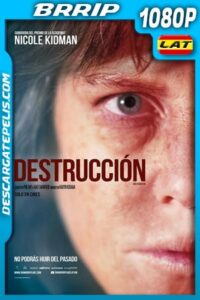 Destrucción (2018) 1080p BRrip Latino