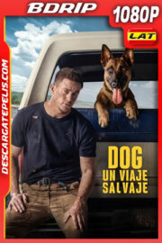 Dog: Un viaje salvaje (2022) 1080p BDrip Latino