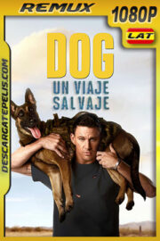 Dog: Un viaje salvaje (2022) 1080p Remux Latino