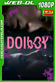 Doi Boy (2023) 1080p WEB-DL Latino