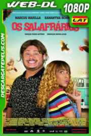 Dos sinvergüenzas (2021) 1080p WEB-DL Latino