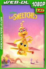 Dr. Seuss: Los Sneetches (2025) 1080p WEB-DL Latino