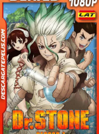 Dr. Stone Temporada 1 (2019) 1080p WEB-DL Latino