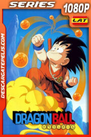 Dragon Ball Temporada 1 (1986) 1080p WEB-DL Latino