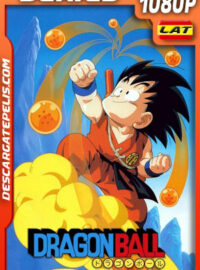 Dragon Ball Temporada 1 (1986) 1080p WEB-DL Latino