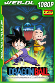 Dragon Ball: La Princesa Durmiente en el Castillo Embrujado (1987) 1080p WEB-DL Latino