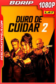 Duro de cuidar 2 (2021) 1080p BDrip Latino
