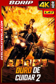 Duro de cuidar 2 (2021) 4K BDRip HDR Latino