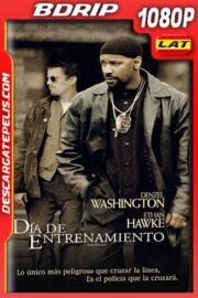 Día de entrenamiento (2001) 1080p BDrip Latino – Ingles