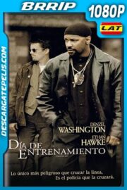 Día de entrenamiento (2001) 1080p BRrip Latino – Ingles