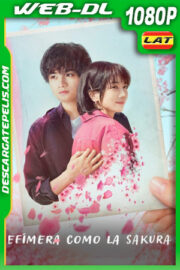 Efímera como la sakura (2022) 1080p WEB-DL Latino