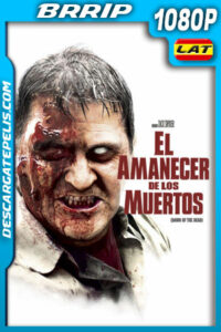 El amanecer de los muertos (2004) 1080p BRrip Latino