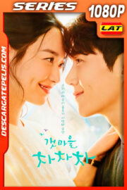 El amor es como el chachachá Temporada 1 (2021) 1080p WEB-DL Latino