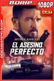 El asesino perfecto (2022) 1080p BDRip Latino