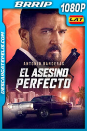El asesino perfecto (2022) 1080p BRRip Latino