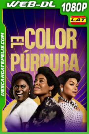 El color púrpura (2023) 1080p WEB-DL Latino