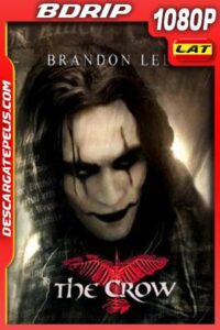 El cuervo (1994) 1080p BDrip Latino