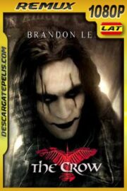 El cuervo (1994) 1080p BDRemux Latino