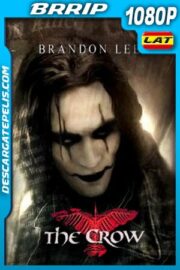 El cuervo (1994) 1080p BRrip Latino