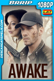 El Despertar de un Asesino (2019) 1080p BRrip Latino
